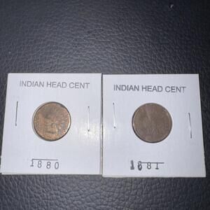 1880 & 1881 Indian Head Cents Lot of 2 Mixed Condition Nice Coins